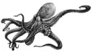 Octopussy 0.9.6.2