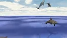 Desktop Dolphins 3D Screensaver