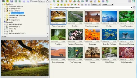 FastStone Image Viewer Portable 4.9