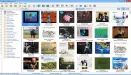 GSoft4U Music Collection 2.9.5.1