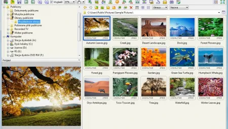 FastStone Image Viewer 5.7