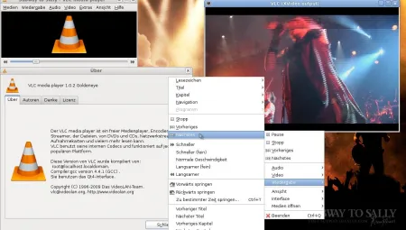 VLC Media Player (64-bit) 3.0.10