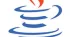 Java SE Runtime Environment
 Java SE Runtime Environment 6 Update 29