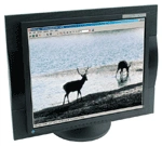 Monitory LCD 17-calowe