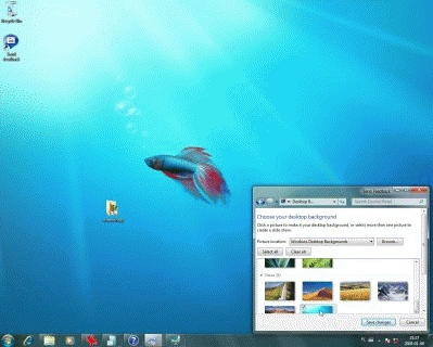 KONKURS: Windows 7 - co to za śledź na tapecie?
