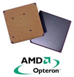 AMD Barton za tydzień, Opteron w kwietniu