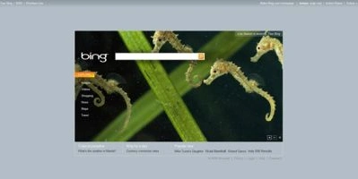 Bing.com - galeria 10 funkcji najnowszej wyszukiwarki Microsoftu