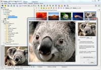 FastStone Image Viewer 4.1 - innowacyjna przeglądarka grafiki