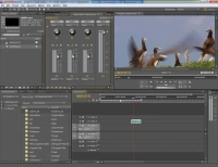 Pobierz za darmo trial Adobe Premiere Pro CS5 - profesjonalny program do edycji wideo