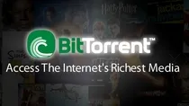 BitTorrent dla początkujących