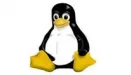 Linus Torvalds wydał jądro Linux 2.6.38