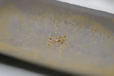 Naukowcy wykorzystali bakterie do produkcji złota. To koniec kopalń złota?