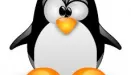 Matura z informatyki w środowisku Linux? Zapomnij! Jest tylko Windows