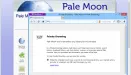 Pale Moon żegna się z Windowsem XP