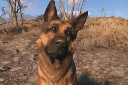 Fallout 76 otrzyma zwierzęcych towarzyszy, w planach są również kolejne frakcje
