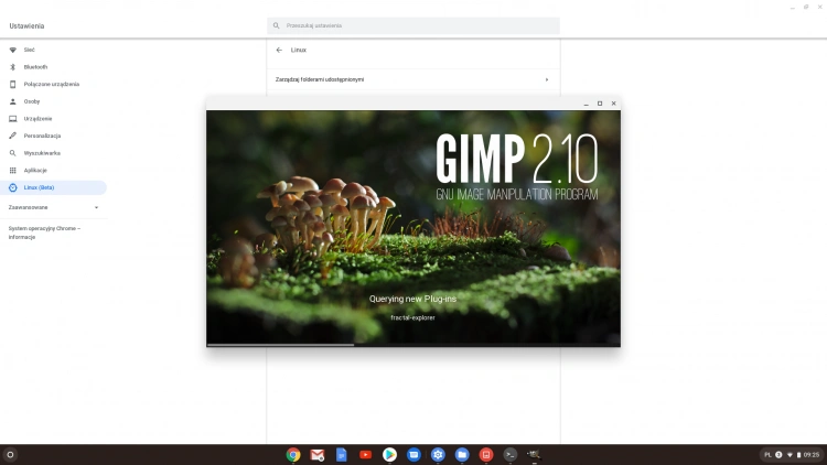 Gimp na Chrome OS