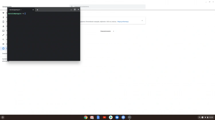 Terminal Linuxa w Chrome OS