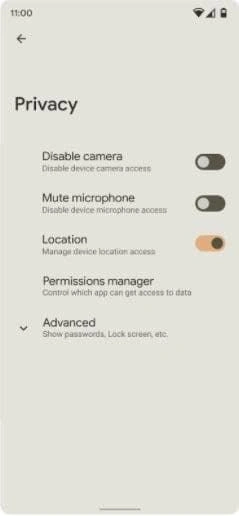Opcje prywatności
Źródło: Android Authority
