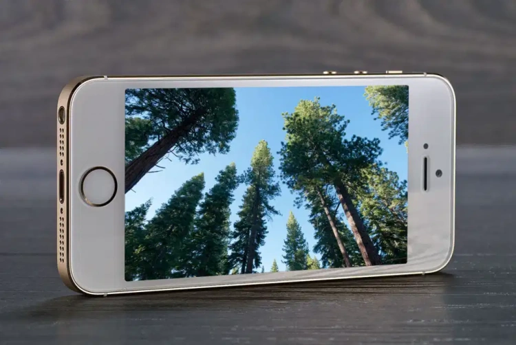 iPhone 5s - pierwszy smartfon z Touch ID