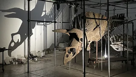 Największy na świecie szkielet Triceratopsa trafi na aukcję