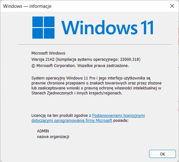 Windows 11: Okno z informacjami dot. systemu / Fot. Daniel Olszewski