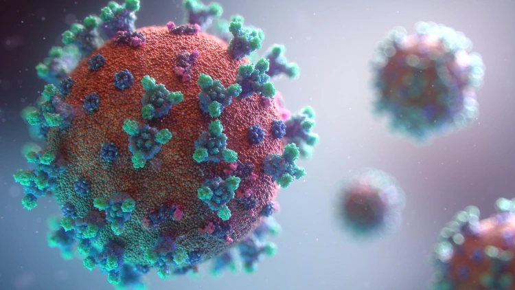 Wizualizacja koronawirusa
Źródło:  Fusion Medical Animation / Unsplash