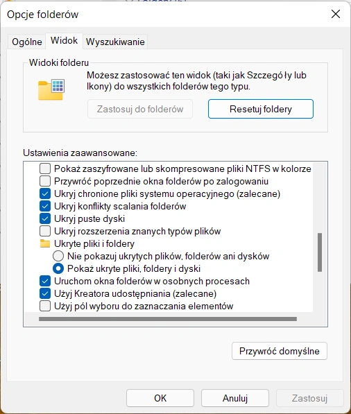 Opcje folderów w Windows 11