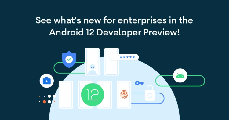 Android 12 Developer Preview
Źródło: blog.google