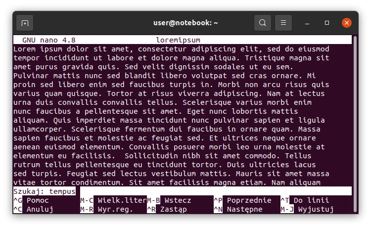 Edytor tekstowy Nano w systemie Linux. Jak się nim posługiwać?