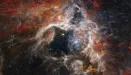 Teleskop Webba wykonał zdjęcia Mgławicy Tarantula