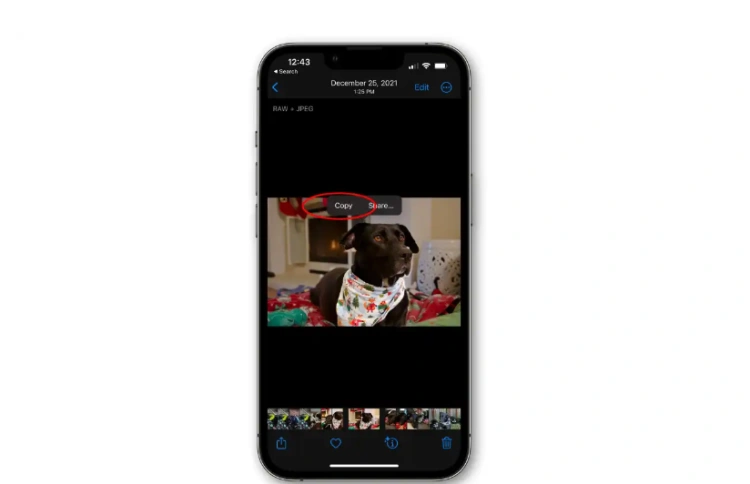 iOS 16: Jak łatwo wyciąć pojedynczy obiekt ze zdjęcia?